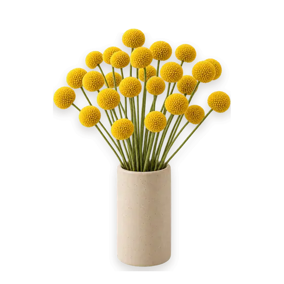 金槌花